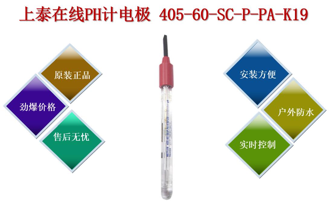 上泰在線PH計(jì)電極405-60-SC